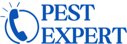 callpestexpert.com